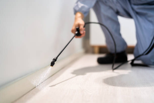 Licensed Fumigation Services service in Douglas County County, MN - Nex Pest Control